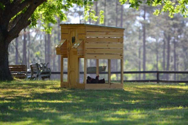 Chicken Coops