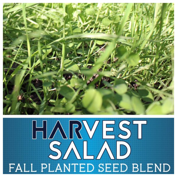 Whitetail Harvest Salad 25 LB-1/2 Acre