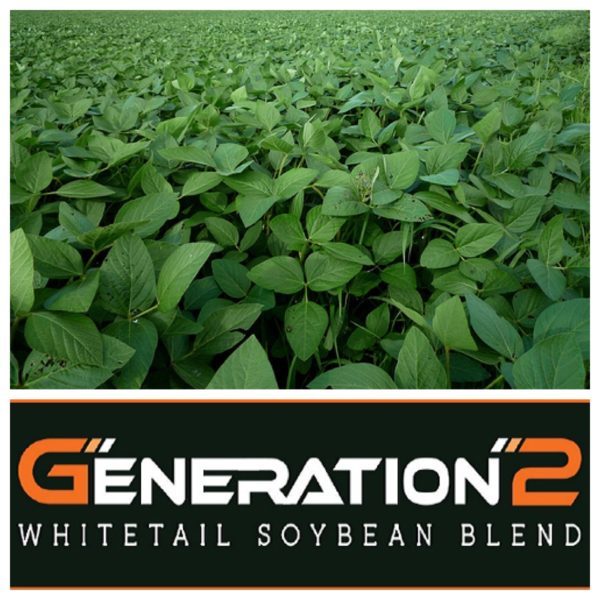 Gen2 Soybeans & Northern Blend: Whitetail Soybeans